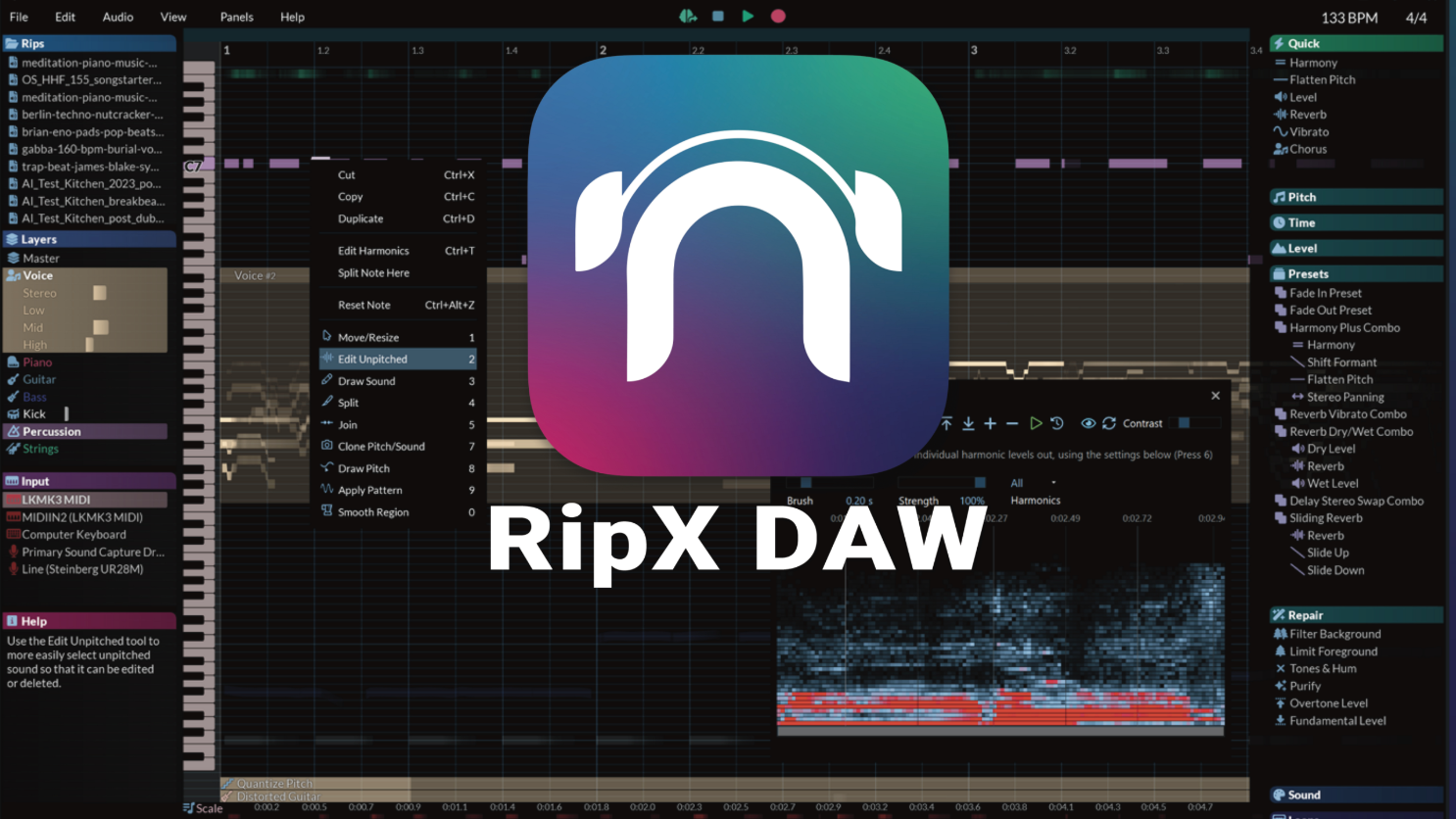 Hit’n’Mix RipX AI DAW